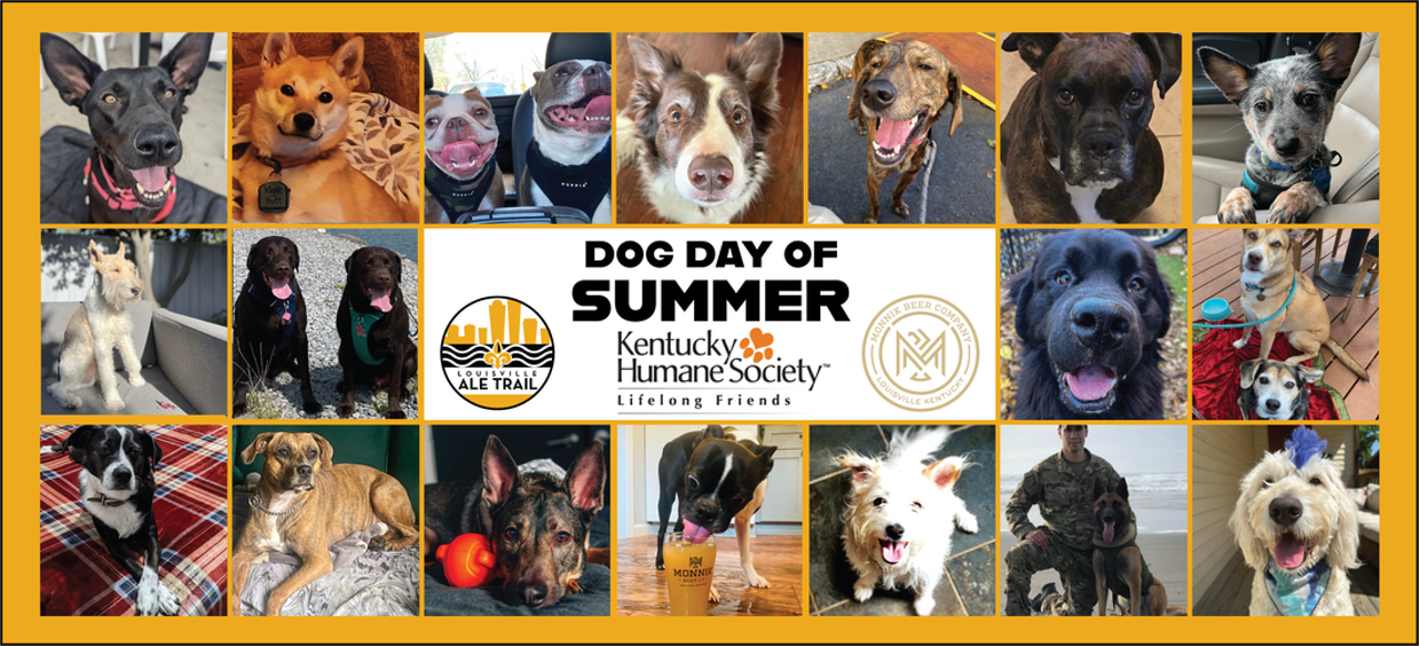 Dog Day of Summer @ Monnik
SATURDAY, AUGUST 17
Monnik Beer Company | FREE | https://www.kyhumane.org/events/dog-days-of-summer-at-monnik/ | All Ages
Dog lovers, this one’s for you! Head out to Monnik Beer Company this Saturday for a dog-filled day. Enter your pup into the dog show, let them run around in the outdoor pool and sprinklers, and shop different dog vendors to buy some stylish goodies for your furry friend, all while showing your support for the KY Humane Society.