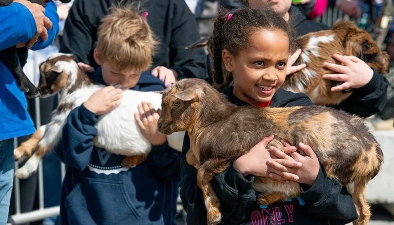 Nulu Bock Fest
Saturday, March 23Nulu | No cover | 12 p.m.
Drink locally brewed bock beers and enjoy the famous goat races on Market Street when the Nulu Bock and Wurst Fest returns for its 7th year.