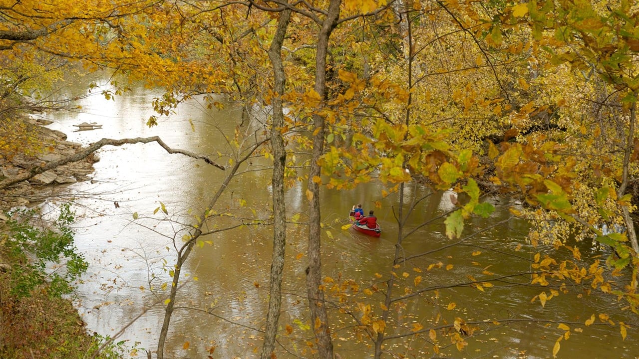 Parklands of Floyds Fork
North Beckley Paddling Access
The North Beckley Paddling Access is the northernmost paddling access in the Parklands. Located across from the William F. Miles Lakes in the bottomland off Beckley Creek Parkway, North Beckley has its own parking area.
