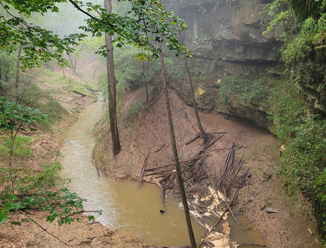 Cedar Sink Trail
1 Mammoth Cave Parkway
If you're looking for a legit hiking trail at Mammoth Cave, this one's for you. It's known for its stairs, which some park guests report makes for a challenging but solid workout, as well as the large sinkhole that hikers see during their visit.