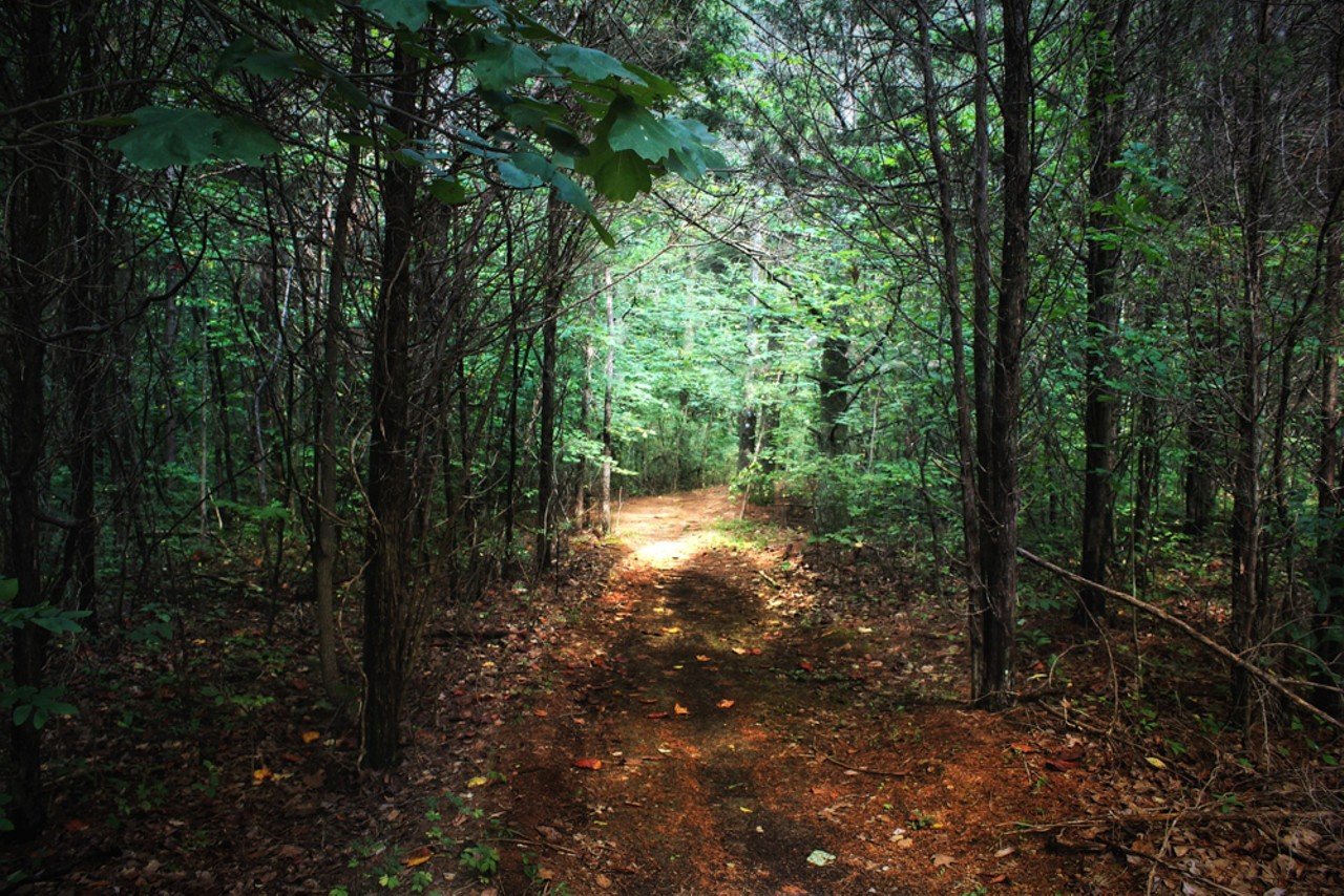 Otter Creek Park: Otter Creek Trail
Old Nature Center, Nature Center Lane, Brandenburg, KY
Otter Creek Trail is a four-mile loop with an elevation gain of 603 feet. This trail covers the majority of the area, so expect lots of variety in your hike as you will encounter plenty of heavily-wooded areas, fields, streams, rivers and a few small caves.