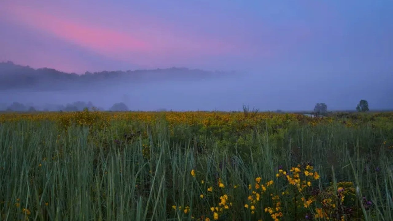 The Parklands of Floyds Fork
Beckley Creek Pkwy.
The Parklands of Floyds Fork opened to the public in 2010 and has since been cultivated into a hidden gem less than a 30-minute drive from downtown Louisville. Although it offers good hiking year round, it’s especially beautiful when the sunflower meadows are in bloom.