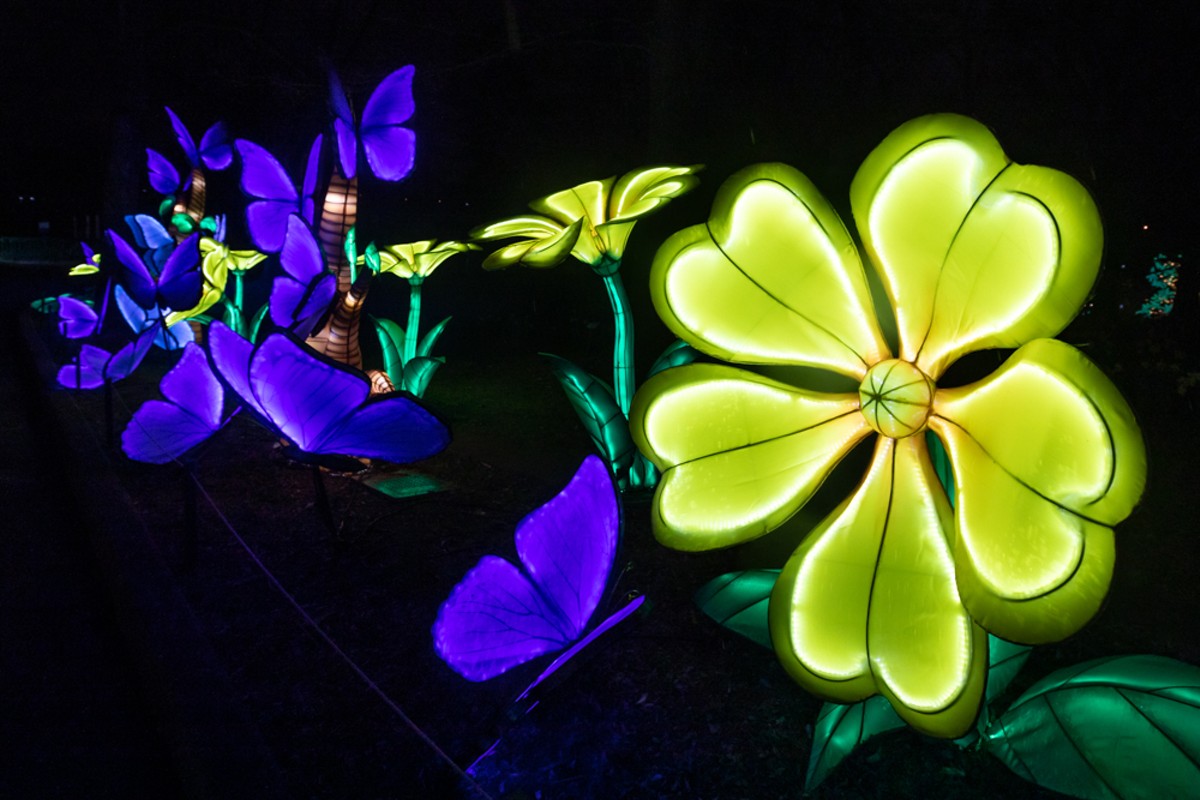 "Wild Lights: Around the World" at the Louisville Zoo.