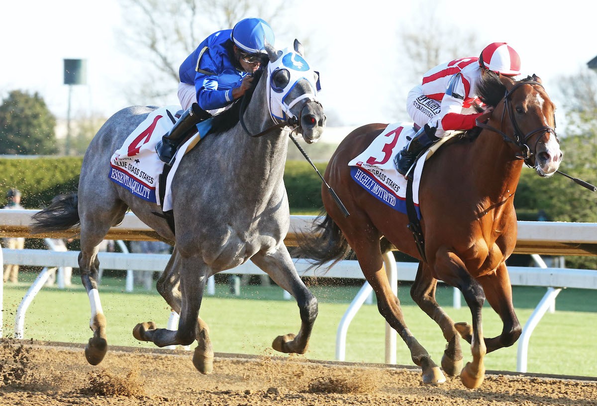 Kentucky Derby favorite Essential Quality (gray, left) edges Highly Motivated at the wire in the Blue Grass Stakes at Keeneland. Courtesy of Keeneland Photo.