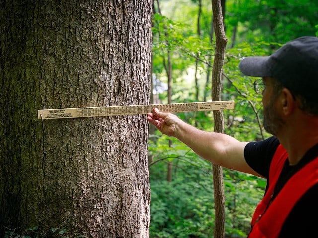 The conservation plans help keep enough trees planted for future generations.