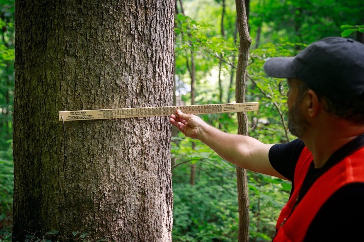 The conservation plans help keep enough trees planted for future generations.