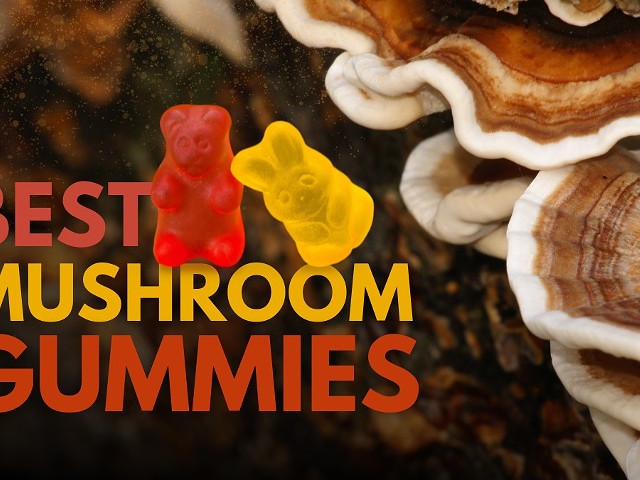 Best Mushroom Gummies of 2024 Offering Potent Psychoactive Effects