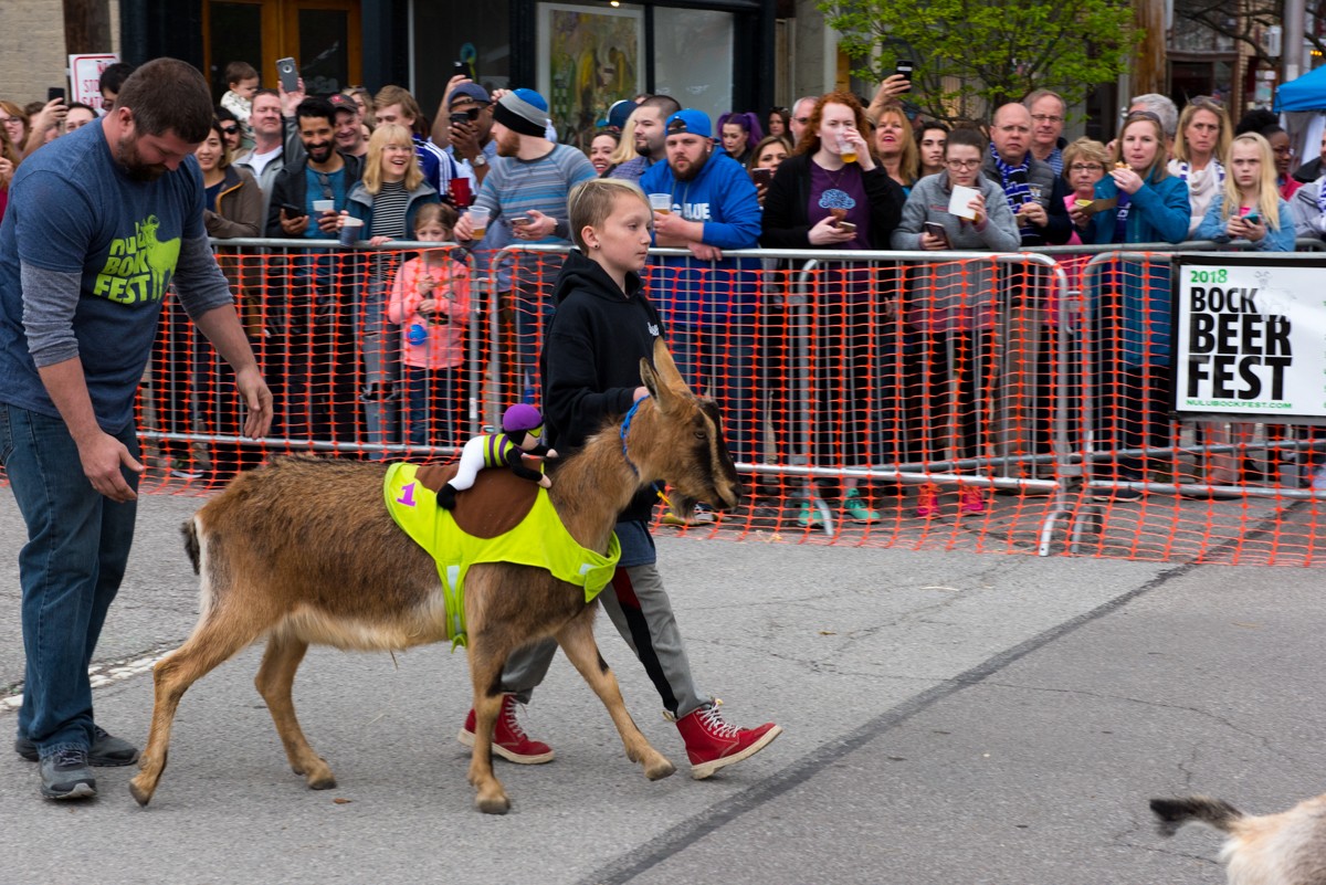 &#147;Gin and Tonic,&#148; runner-up of the Adult Goat Race