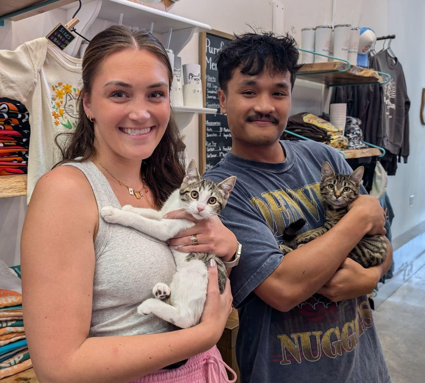 Rosewood and Anastasia were both adopted to be the 9,999th and 10,000th cats adopted from Purrfect Day Cat Café.