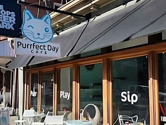 Purrfect Day Cat Cafe in Louisville could be the first of its kind to hit this major adoption milestone.