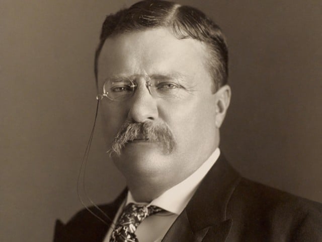 Teddy Roosevelt