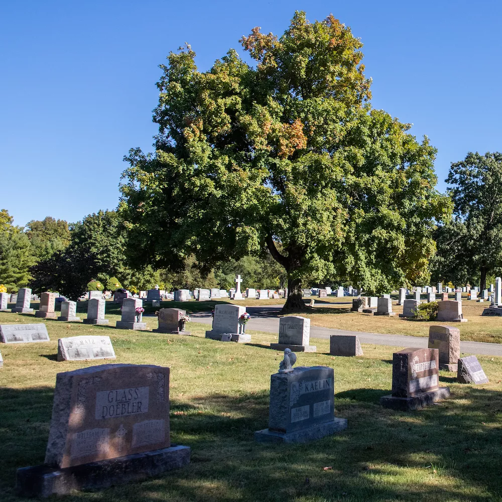 St. Michael'sCemetery.