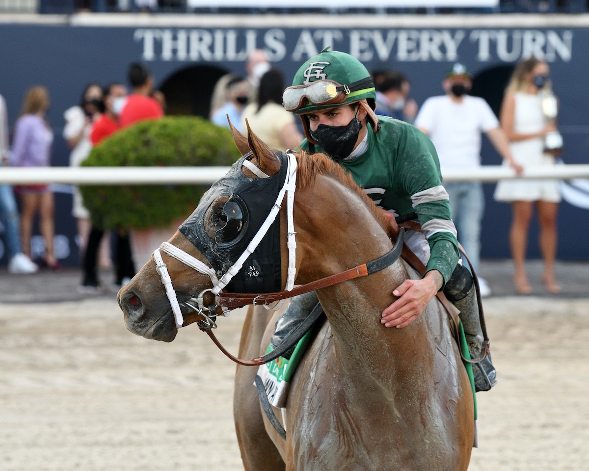 Jockey Irad Ortiz Jr. congratulates Known Agenda on a job well done in the Florida Derby. Ortiz is the leading rider in North America. Known Agenda will be one of the top choices in the Kentucky Derby, with Ortiz again aboard. Photo by Ryan Thompson. - Ryan Thompson