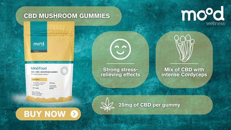 Best Mushroom Gummies of 2024 Offering Potent Psychoactive Effects